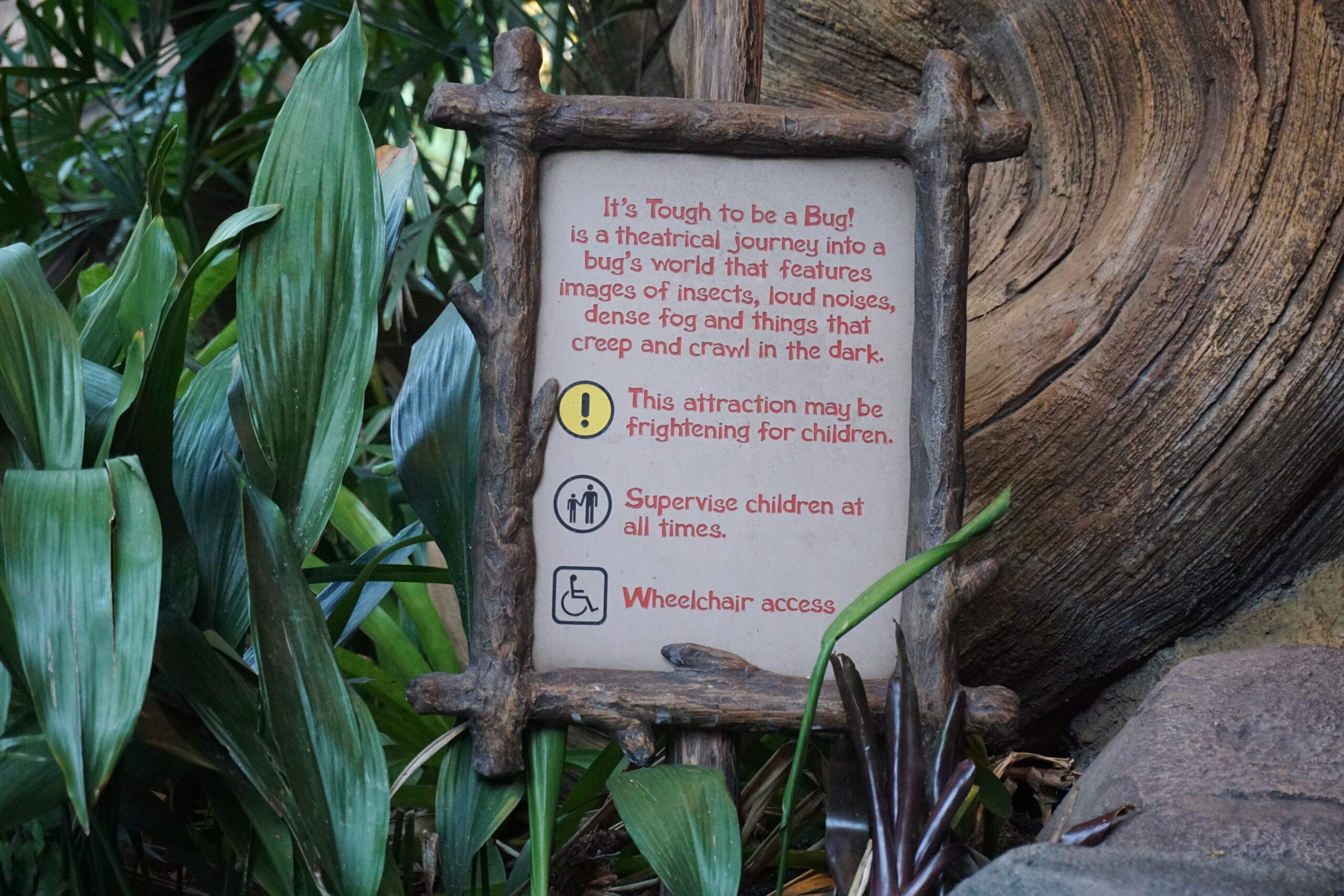 its-tough-to-be-a-bug-animal-kingdom-7770.jpeg